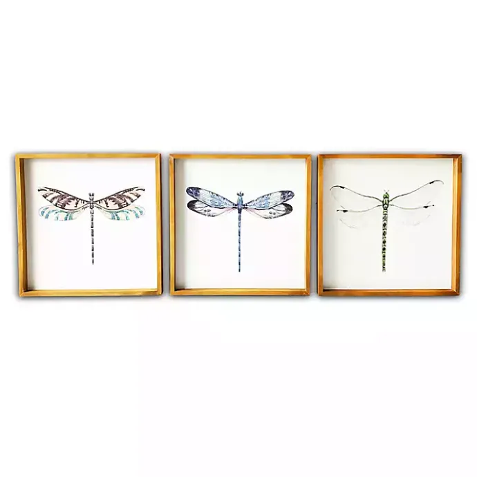Sale Kirklands Home Dragonfly Framed Art Prints, Set of 3