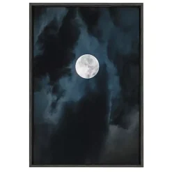Best Kirklands Home Driftless Moon Framed Canvas Art Print
