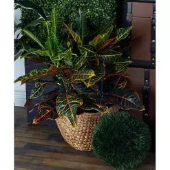 Clearance Kirklands Home Dutch Woven Seagrass Baskets, Set of 4 Brown