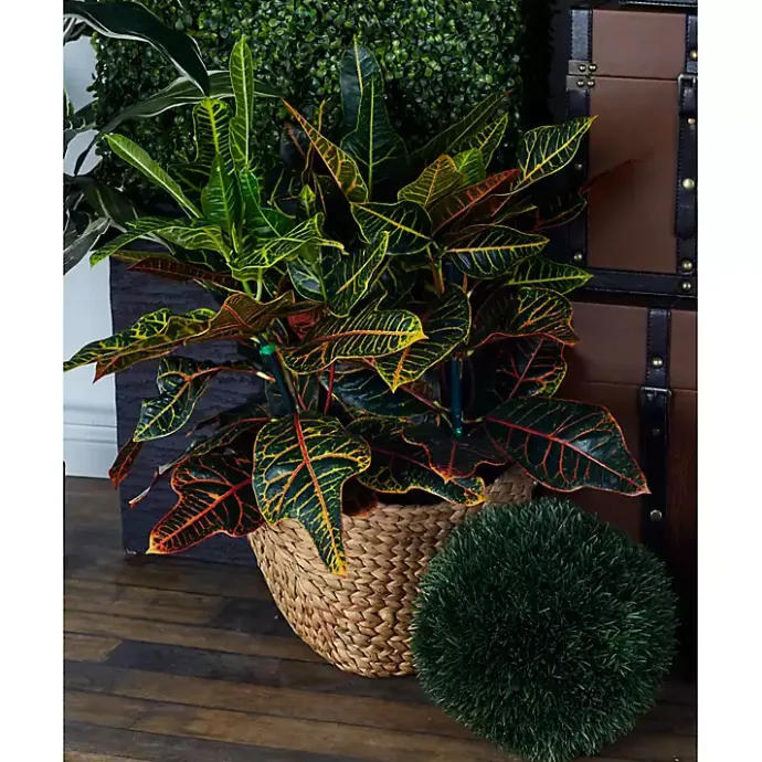 Clearance Kirklands Home Dutch Woven Seagrass Baskets, Set of 4 Brown