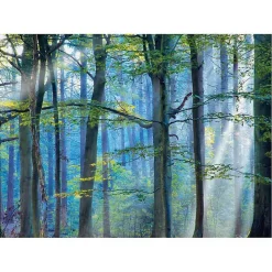 New Kirklands Home Enchanted Forest Canvas Print by Lars Van De Goor