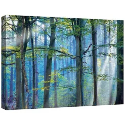 New Kirklands Home Enchanted Forest Canvas Print by Lars Van De Goor