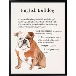 Sale Kirklands Home English Bulldog Facts Framed Wall Plaque