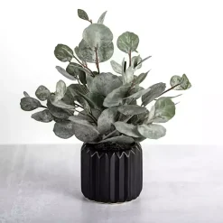 Clearance Kirklands Home Eucalyptus Arrangement in Black Planter