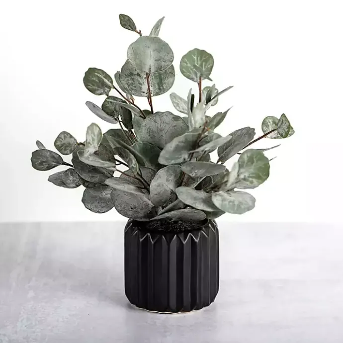 Clearance Kirklands Home Eucalyptus Arrangement in Black Planter