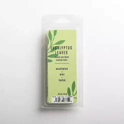 Kirklands Home Eucalyptus Leaves Wax Melts