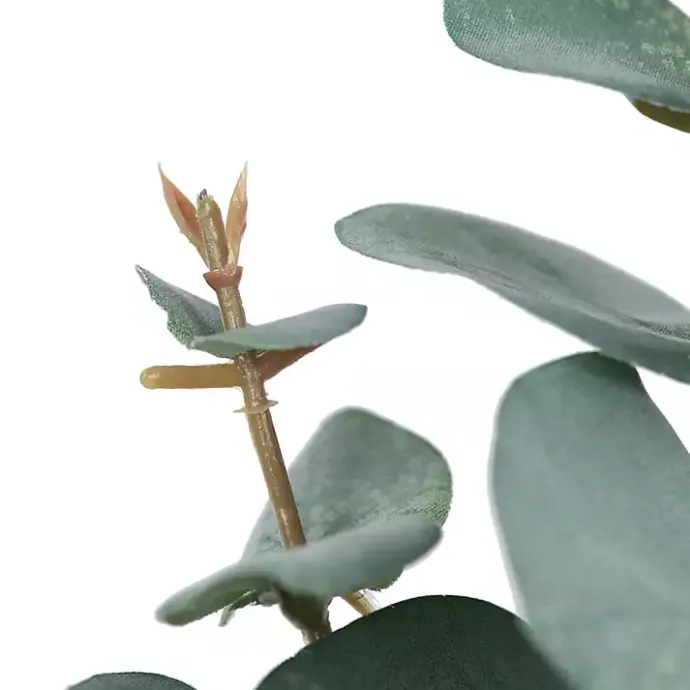 Clearance Kirklands Home Eucalyptus Sprays, Set of 3 Green