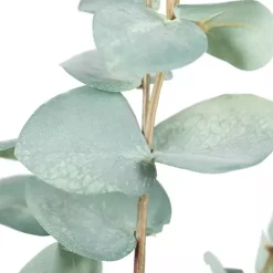 Clearance Kirklands Home Eucalyptus Sprays, Set of 3 Green