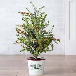 Best Kirklands Home Farm Fresh Bucket Christmas Tree, 33 in.