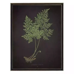 Best Kirklands Home Fern Bookplate VII Framed Art Print