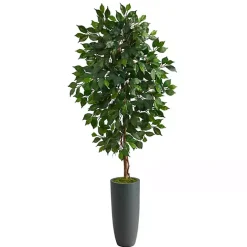 Best Kirklands Home Ficus Tree in Gray Oblong Planter, 60 in.