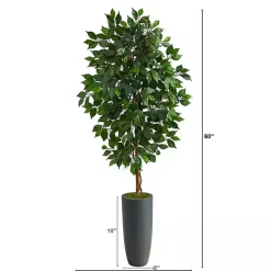 Best Kirklands Home Ficus Tree in Gray Oblong Planter, 60 in.
