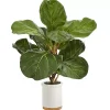 Sale Kirklands Home Fiddle Leaf Fig in White Ceramic Planter, 21 in.