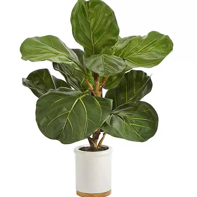 Sale Kirklands Home Fiddle Leaf Fig in White Ceramic Planter, 21 in.