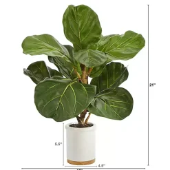 Sale Kirklands Home Fiddle Leaf Fig in White Ceramic Planter, 21 in.