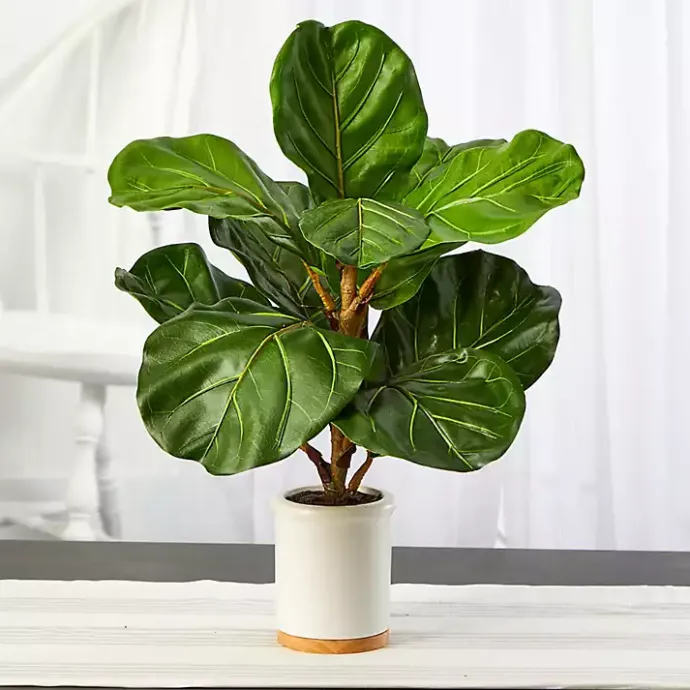 Sale Kirklands Home Fiddle Leaf Fig in White Ceramic Planter, 21 in.