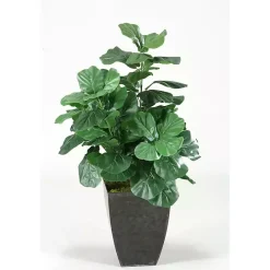 Best Kirklands Home Fiddle Leaf Fig Tree in Black Planter, 4 ft.