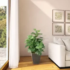 Best Kirklands Home Fiddle Leaf Fig Tree in Black Planter, 4 ft.