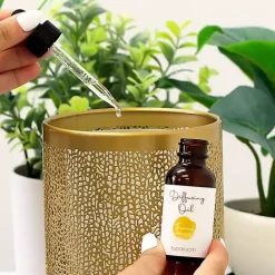 Sale Kirklands Home Fierce 2-Pack Essential Oil