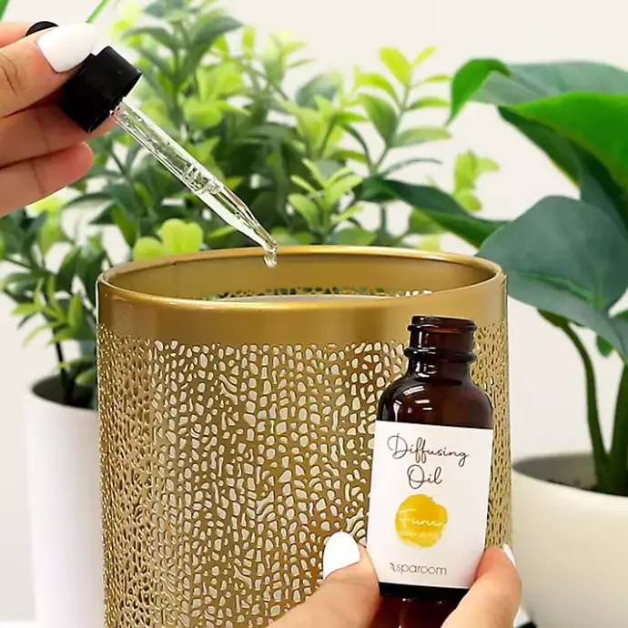 Sale Kirklands Home Fierce 2-Pack Essential Oil