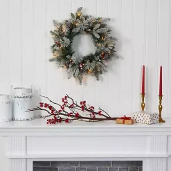 Discount Kirklands Home Flocked Evergreen and Mixed Berry LED Wreath