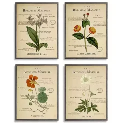 Sale Kirklands Home Flower Illustrations Framed Art Prints, Set of 4