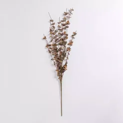 Outlet Kirklands Home Foam Eucalyptus Spray