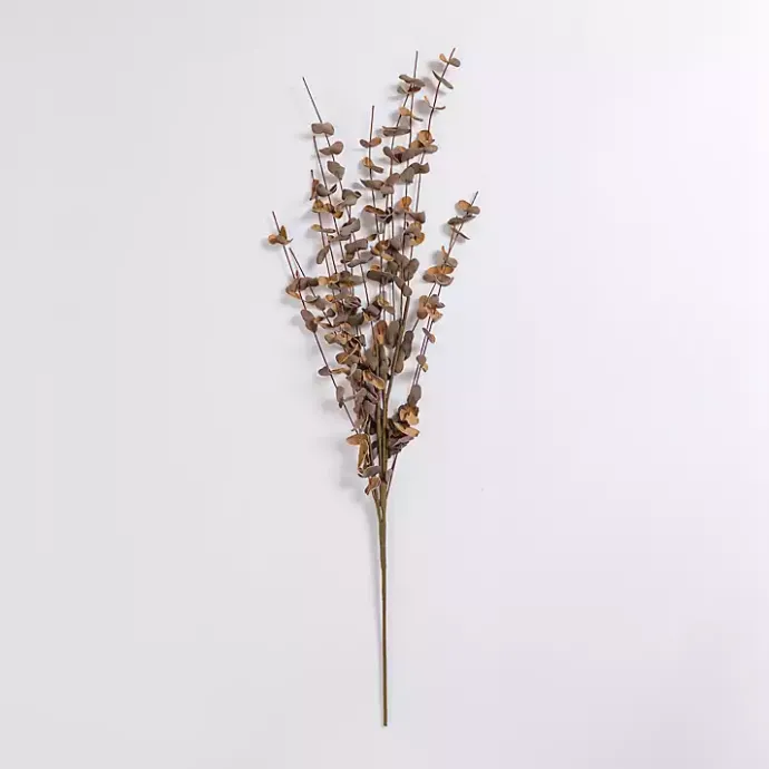 Outlet Kirklands Home Foam Eucalyptus Spray