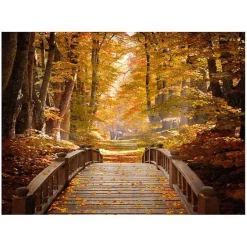 Discount Kirklands Home Forest Escape Giclee Canvas Art Print