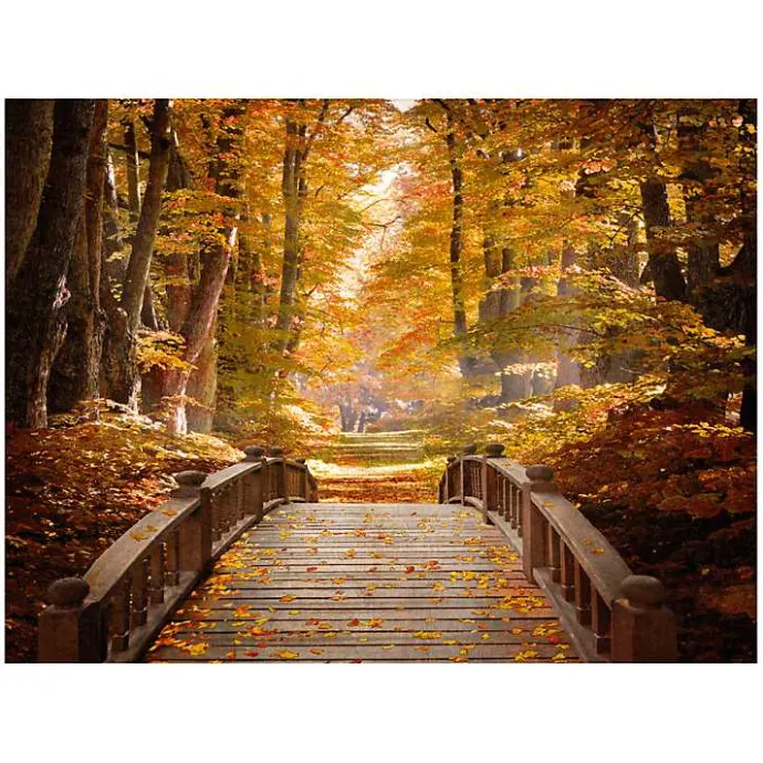 Discount Kirklands Home Forest Escape Giclee Canvas Art Print