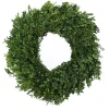 New Kirklands Home Fresh Cut Boxwood Christmas Wreath