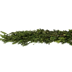 New Kirklands Home Fresh Cut Boxwood Christmas Garland