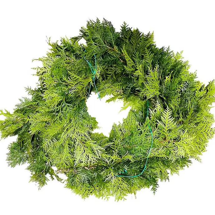 New Kirklands Home Fresh Cut Red Cedar Christmas Garland