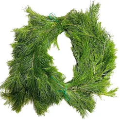 Best Kirklands Home Fresh Cut White Pine Christmas Garland