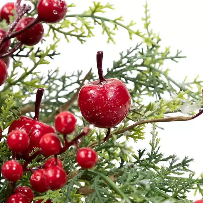 Discount Kirklands Home Frosted Berry and Crabapple Cedar and Pine Wreath