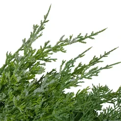 Kirklands Home Frosted Cedar Pinecone Wreath Green