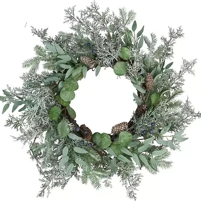 Online Kirklands Home Frosted Foliage and Blueberries Wreath