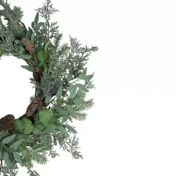 Online Kirklands Home Frosted Foliage and Blueberries Wreath