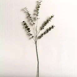 Best Kirklands Home Frosted Spiral Eucalyptus Stem Green