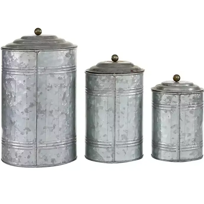 Kirklands Home Galvanized Metal Lid 3-pc. Decorative Jar Set Silver