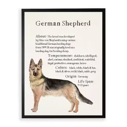 Kirklands Home German Shepherd Facts Framed Wall Plaque
