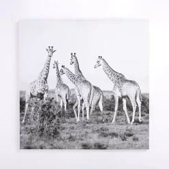 Outlet Kirklands Home Giraffes in the Wild Canvas Art Print