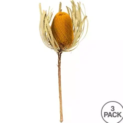 Outlet Kirklands Home Dried Jumbo Banksia Stems, Set of 3 Gold