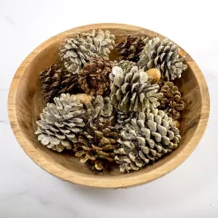 New Kirklands Home Vanilla Spice Pine Cone Potpourri Gold