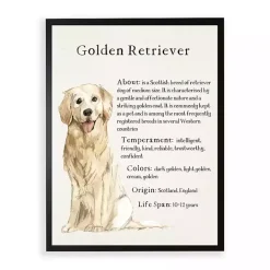 Online Kirklands Home Golden Retriever Boxer Facts Framed Wall Plaque