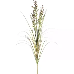 Sale Kirklands Home Green and Brown Potted Grass, 36 in.
