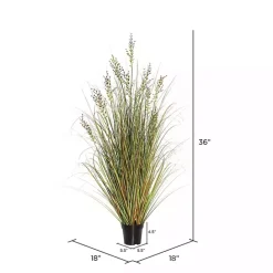 Sale Kirklands Home Green and Brown Potted Grass, 36 in.