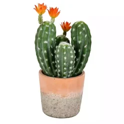Sale Kirklands Home Cactus in Clay Pot, 14 in. Green