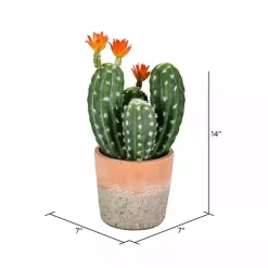 Sale Kirklands Home Cactus in Clay Pot, 14 in. Green