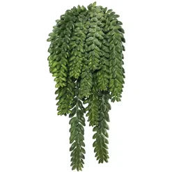 Discount Kirklands Home Green Donkey's Tail Bush
